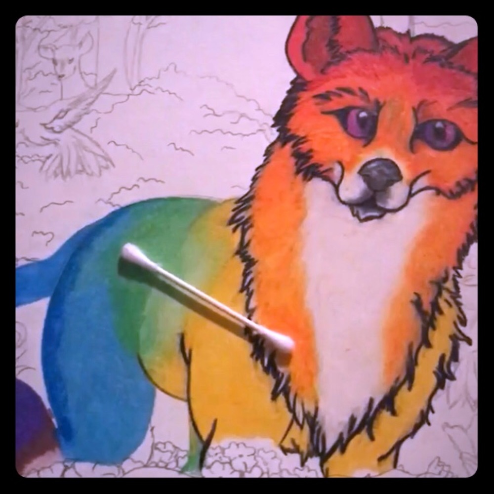 Rainbow Fox - image 1